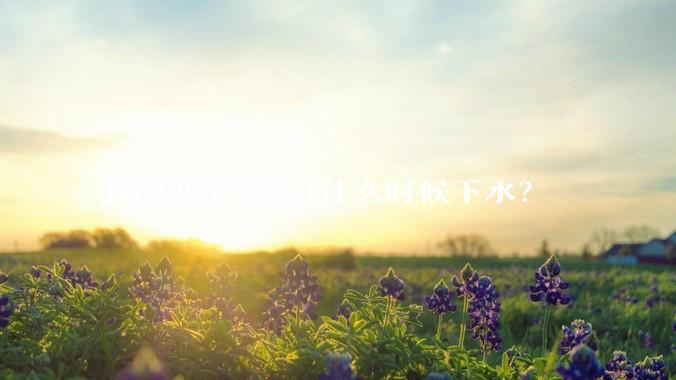我国004号航母什么时候下水？