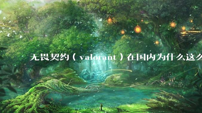 无畏契约（valorant）在国内为什么这么火?